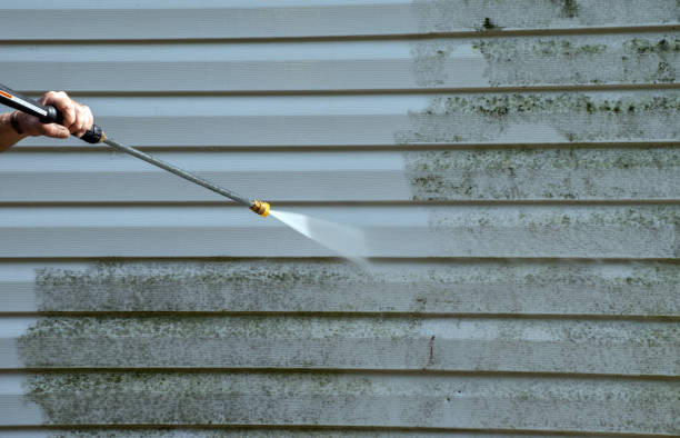 Best Affordable Pressure Washing  in Mechanicsville, VA